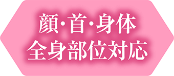 顔・首・身体 全身部位対応