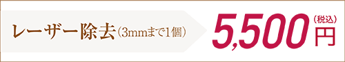 レーザー除去（3mmまで1個）