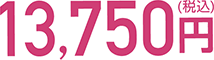 13,750円（税込）