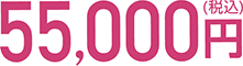 55,000円（税込）