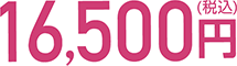 16,500円（税込）