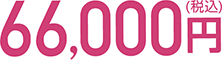 66,000円（税込）