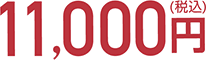 11,000円（税込）