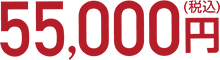 55,000円（税込）